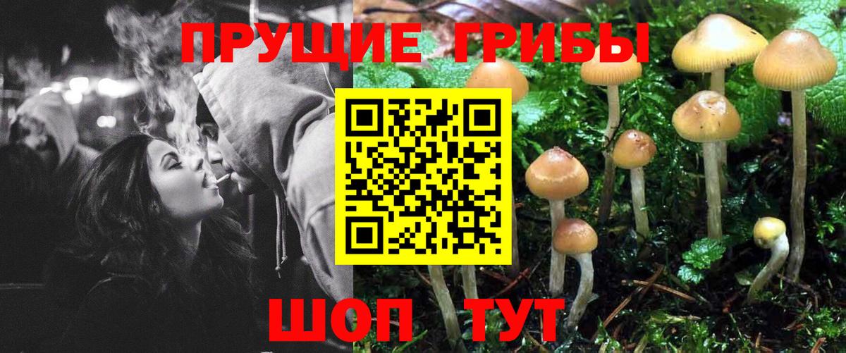 МЕФ кристаллы  ЭКСТАЗИ  A PVP СОЛЬ   Метамфетамин  ГАШИШ  Сунжа  Cocaine  Конопля  Вход с VPN  Лсд 25 