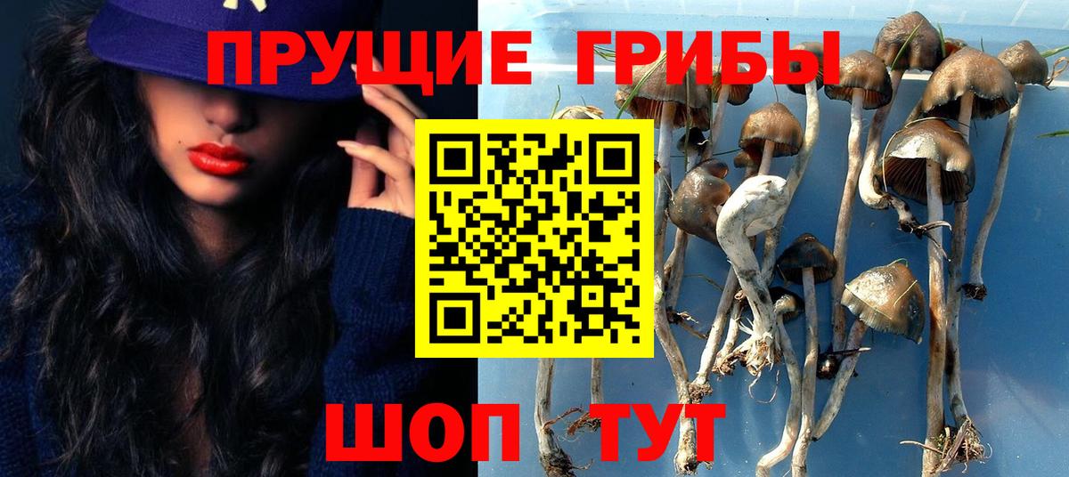 Сунжа  Псилоцибиновые грибы Magic Shrooms  Галлюциногенные грибы мухоморы  Вход с VPN 